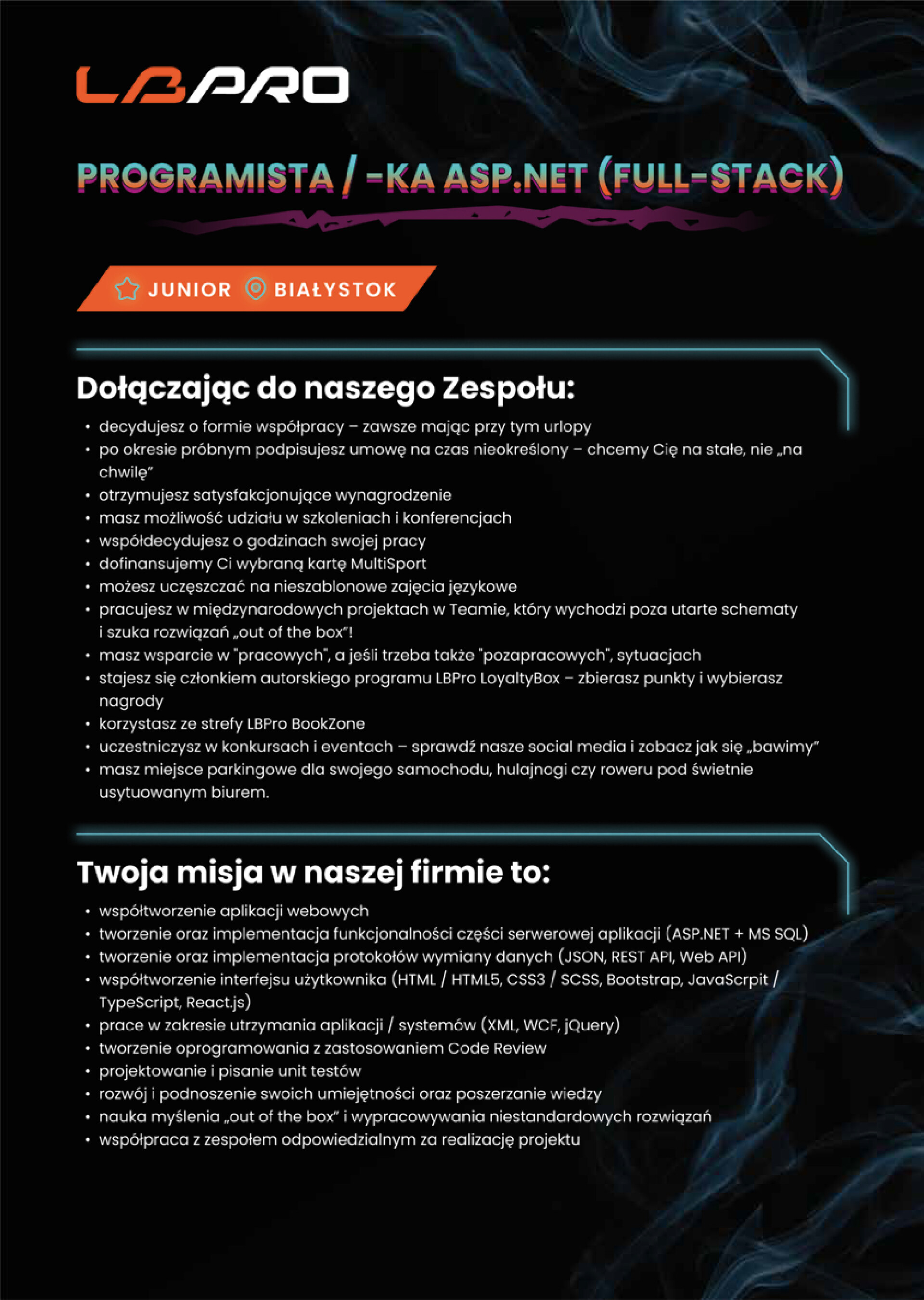 programista_asp_str_1.jpg