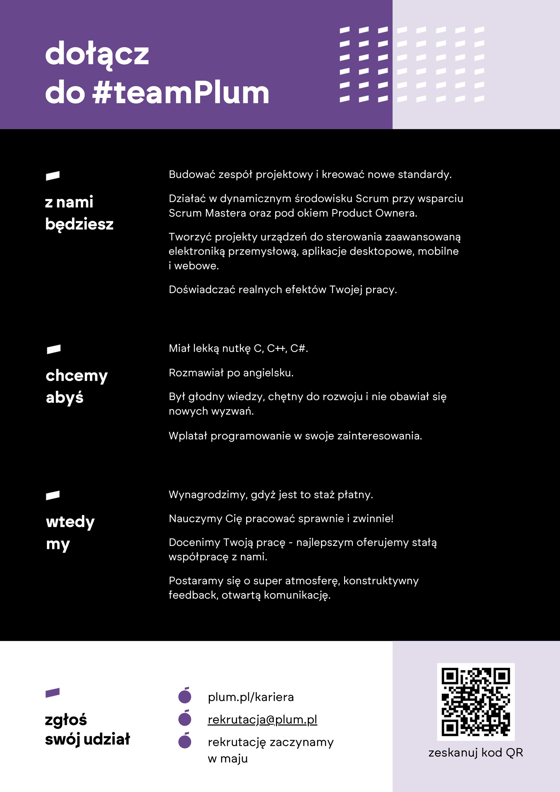 program_stazowy-_ulotka_programisci-2.jpg