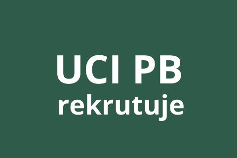 Referent(ka)/specjalist(k)a